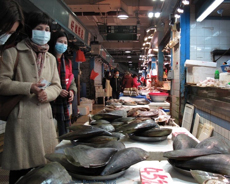 Should wet markets in China and around the world be banned? Should wet markets in China and around the world be banned?
